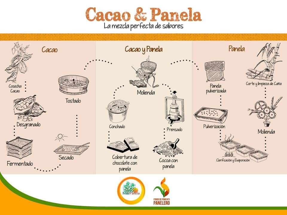 fedepanelacol's tweet photo. Desde Fedepanela, les queremos desear un Feliz Día🎉🎊 a todos aquellos productores cacaoteros que trabajan para que lleguen los mejores productos a base de cacao a nuestras mesas. Gracias por su labor👩‍🌾👨‍🌾 @fedecacao 🇨🇴
#FelizDiaCacaocultores #DiaCacaocultor https://t.co/Mz6EDV3oul