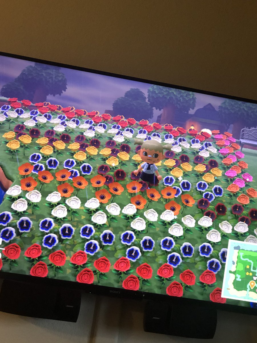 lexlovvv's tweet photo. Come visit my island! It is not anything special but I do have a spooky house and a flower breeding ground xoxo https://t.co/WqW347na2r