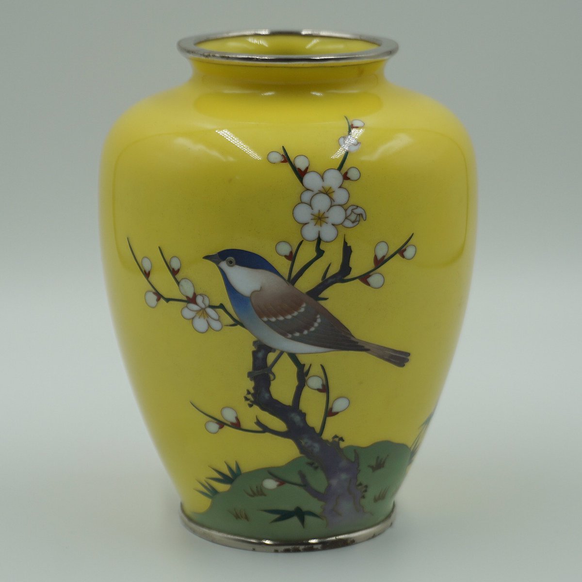 revolves2020's tweet image. Beautiful Ando style Japanese cloisonné vase. One of my favorites. #cloisonne #asian #asiancloisonne #japanesecloisonne #vase #asianart