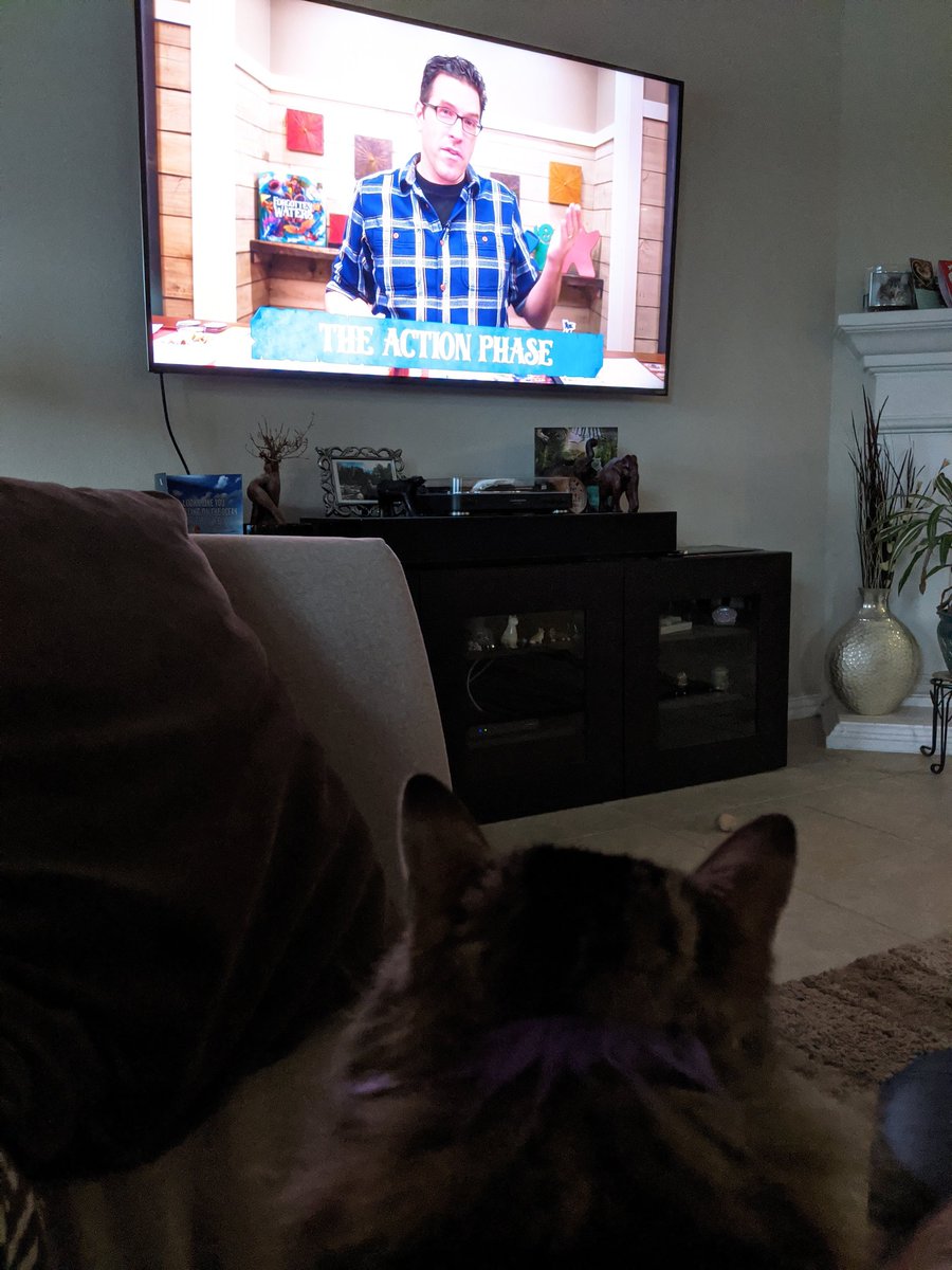 anthonyfrey's tweet photo. #purry loves watching Rodney @WatchItPlayed .  We now call these times "relax with Rodney". Can't wait to be a pirate for a couple hours in #forgottenwaters. https://t.co/2fJKzptFlQ