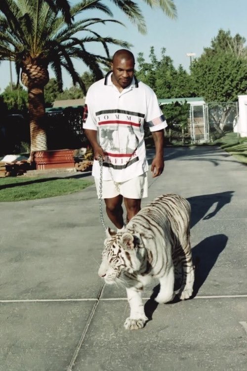 Deano_32's tweet photo. Before Joe Exotic....Mike Tyson https://t.co/S7mCNVHQGj