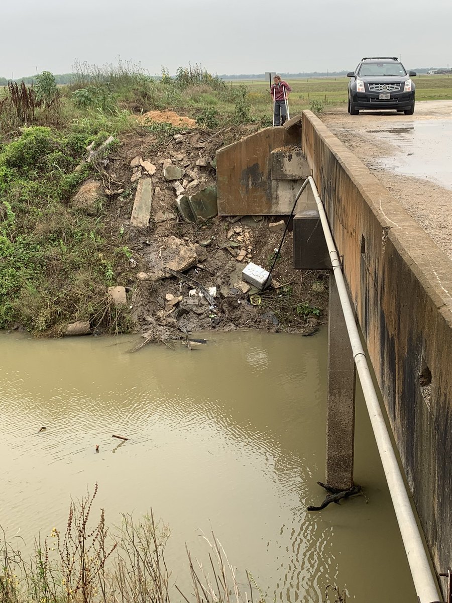 ashley nelson tweet media