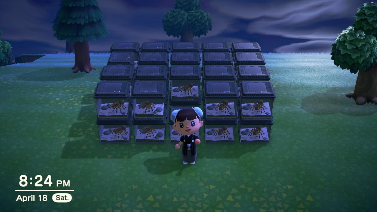 ShineseRod's tweet image. #AnimalCrossing #ACNH #NintendoSwitch