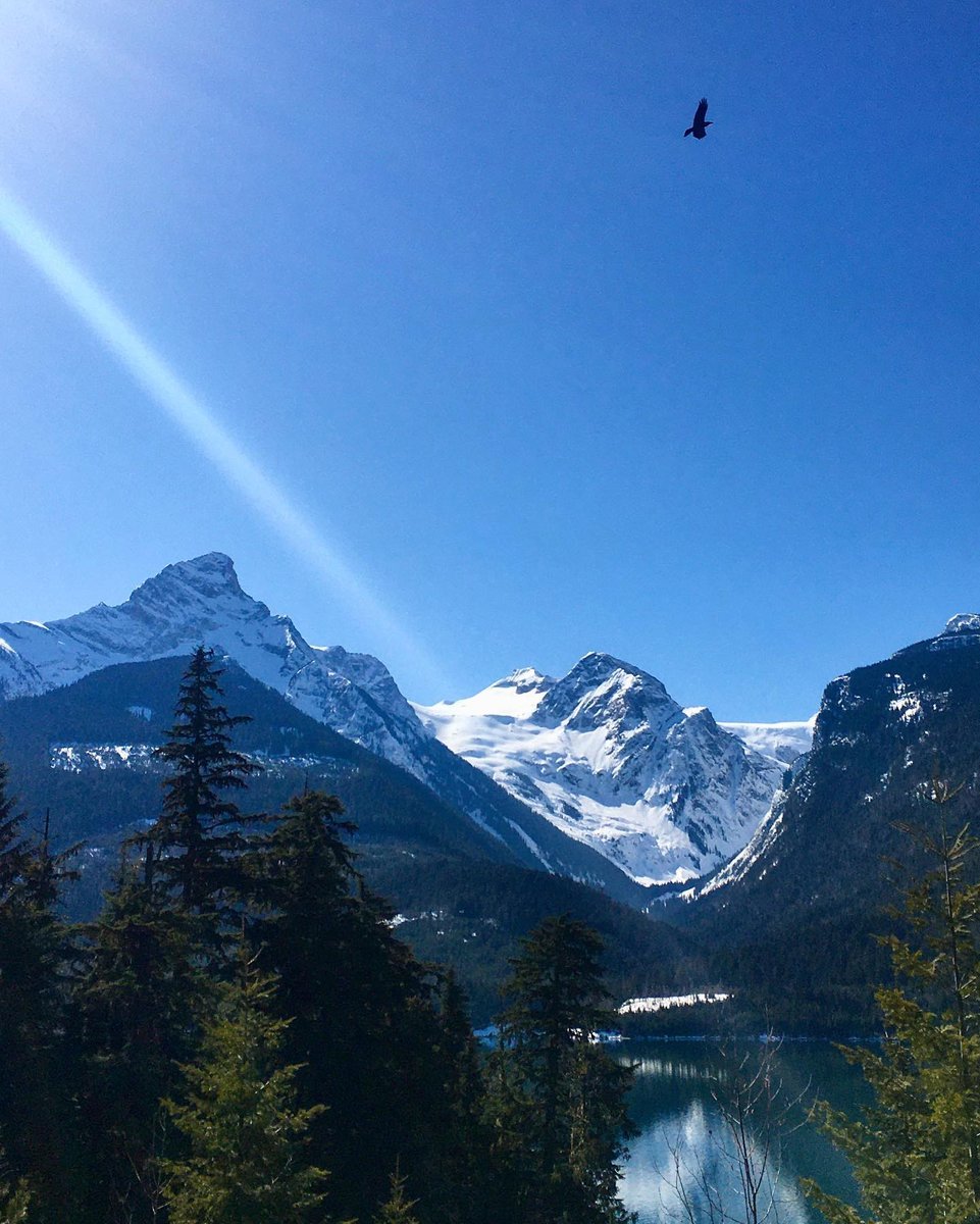 Painting or photograph? In Revy, sometimes it is just hard to tell!⁠
⁠
📸 @leahlovepoirierrr⁠
#TheRealStoke #Revelstoke #ExploreBCLater