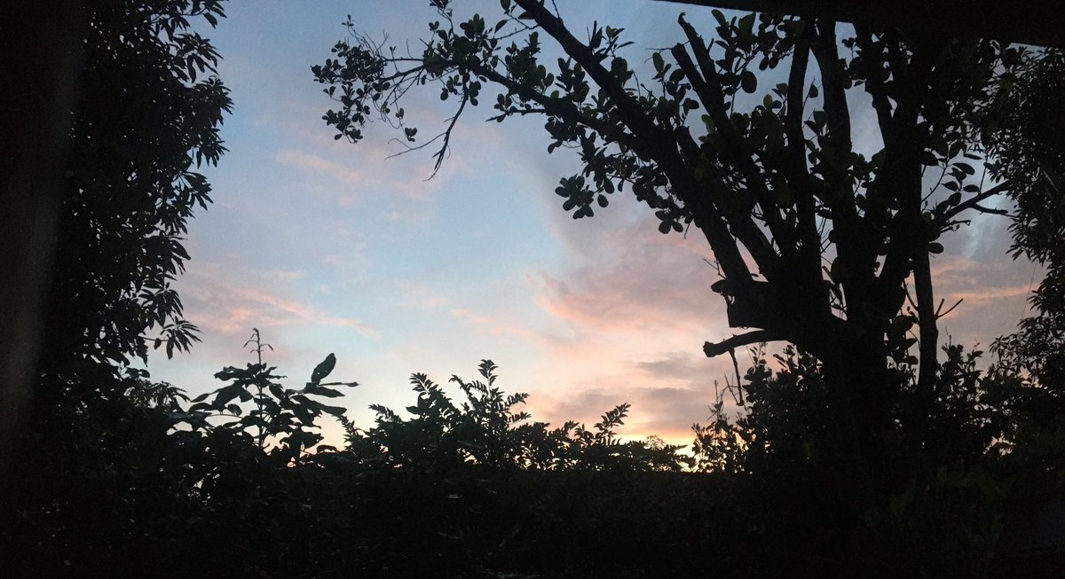 Demas17 (@demasperkasa) on Twitter photo 