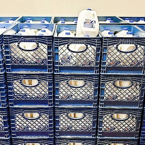 Elli Quark tweet media