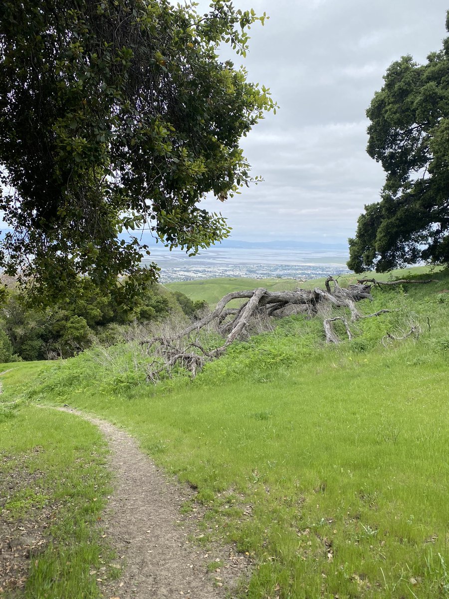 CharP_RN's tweet photo. Last month I hiked #EdLevin County Park as part of the @SCCParks #PixInParks. So much has changed since then... the hills are greener, the grasses are much taller, and now I wear a face covering when I hit the trails! Things change in the blink of a eye! #loveyourparks6feetapart https://t.co/zWLD9zJ5VV