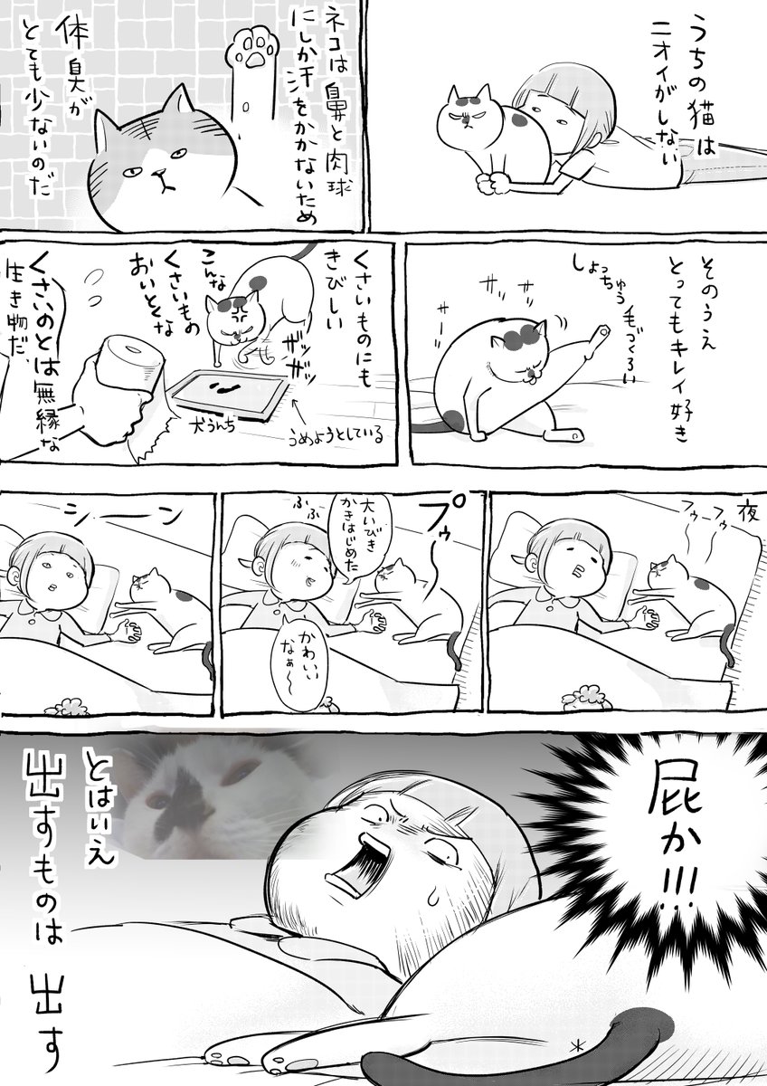 犬と猫どっちも飼ってると、くさくたってぜんぜんたのしい。 