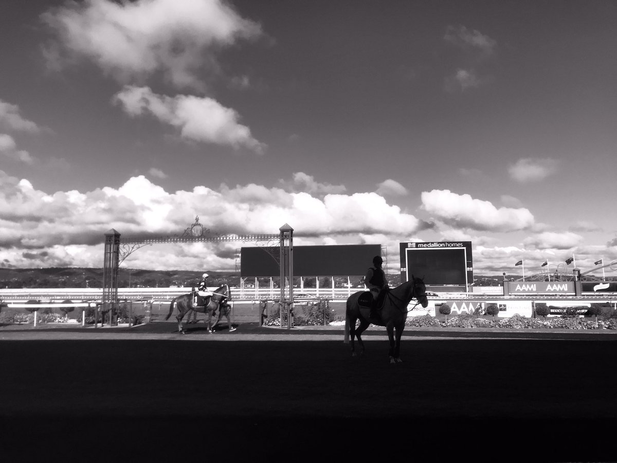 R.N. Irwin Stakes 2020 - just a few current and future superstars going around Morphettville yesterday 🌟