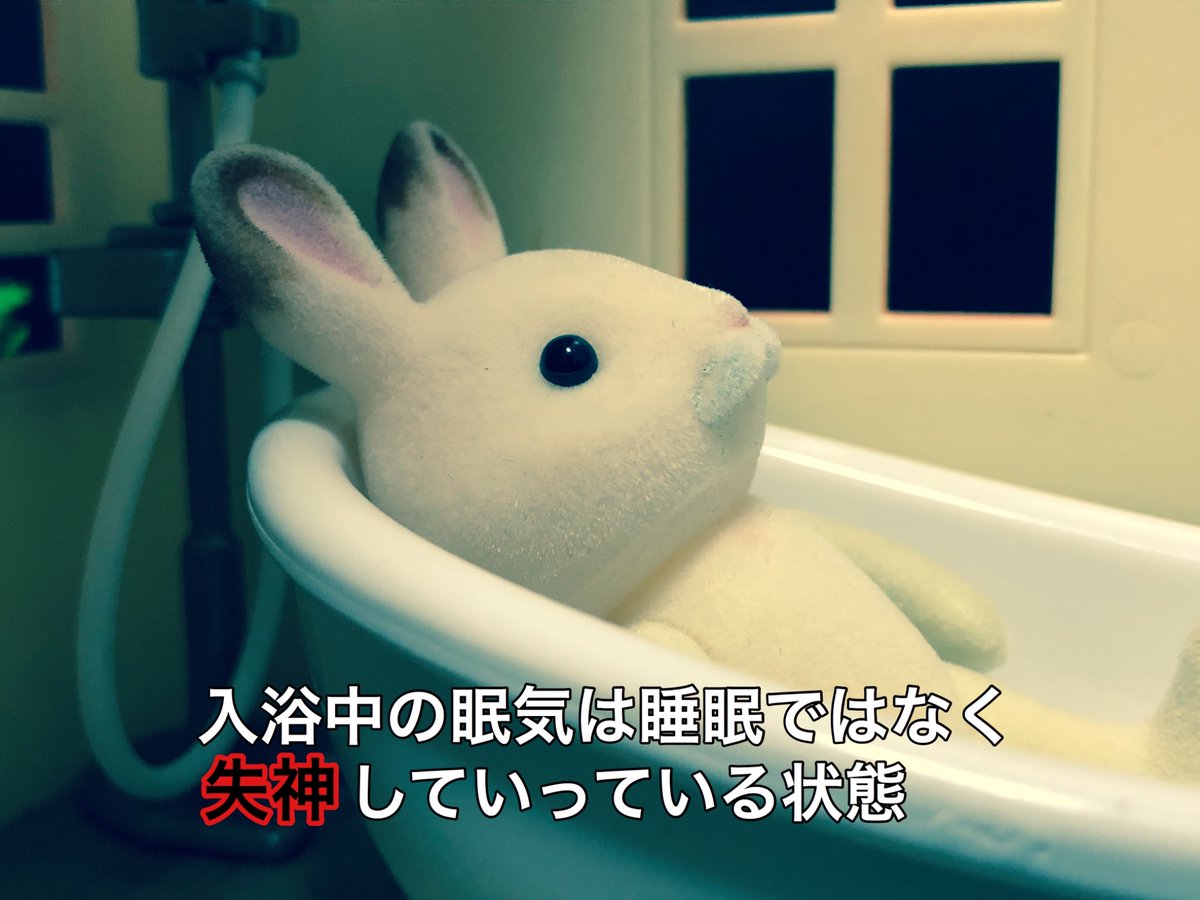 大人のシルバニア で紹介された豆知識が マジ大事知識 な件について 死ぬ間際ファミリー Togetter