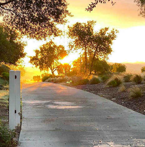 monicabazan's tweet photo. Who else is enjoying their morning and/or evening walks in Santa Clarita since the gyms are closed? ✨ So important to stay healthy and keep a clear head.
📷cityofsantaclarita
#hikescv #santaclarita #santaclaritahomes #santaclaritarealestate #monicabazan #monicabazanrealestate https://t.co/YpP39Mfjov