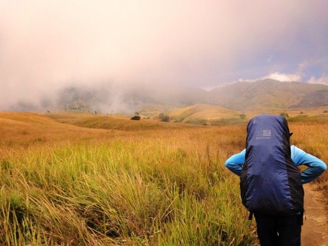 gogonesia's tweet photo. UNESCO  telah menetapkan kawasan Gunung Rinjani sebagai anggota UNESCO Global Geopark pada April 2018 lalu dan menjadi salah satu gunung favorit para pendaki lokal maupun mancanegara https://t.co/uRqpjVO1LE

#trekkingrinjani #gunungrinjani #rinjani https://t.co/q1kooHyG3l