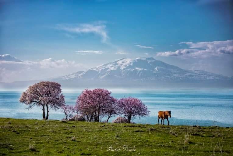 Van İl Kültür ve Turizm Müdürlüğü tweet media