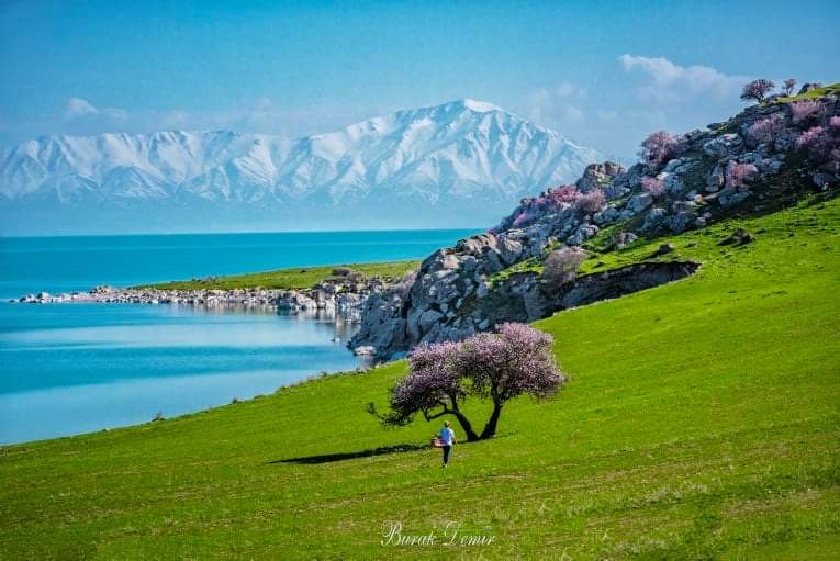 Van İl Kültür ve Turizm Müdürlüğü tweet media