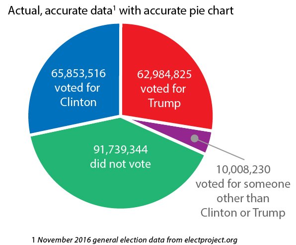 SteelersFanTN's tweet photo. 91 million people #DidNotVote in 2016. We must change this! https://t.co/ZyKhc5He0w