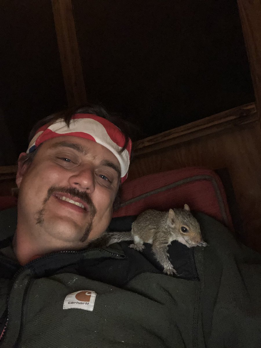 jthomasNC's tweet photo. #squirrels #squirrelsoftwitter @MrBeastYT @pulte  look at this little guy.
Meet Bushy the squirrel https://t.co/ApT0bNiPvo
