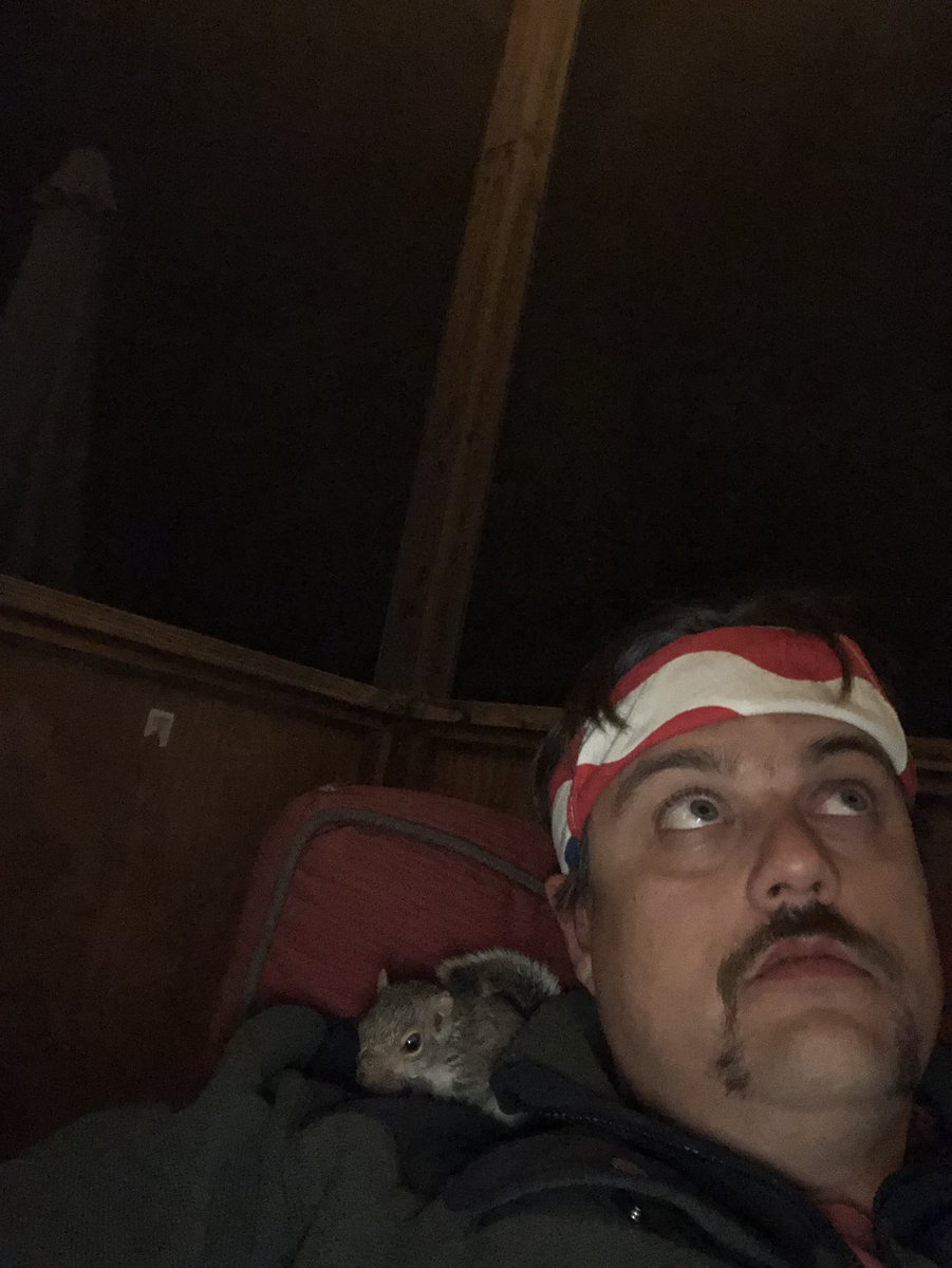 jthomasNC's tweet photo. #squirrels #squirrelsoftwitter @MrBeastYT @pulte  look at this little guy.
Meet Bushy the squirrel https://t.co/ApT0bNiPvo