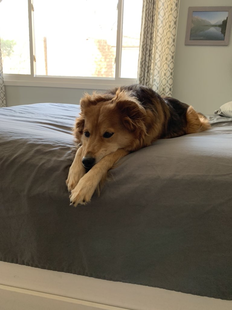 Kristine Goebbert tweet media