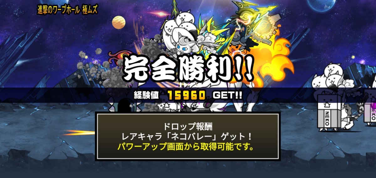 ネコバレー