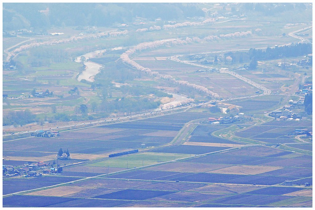 楓ちゃん tweet media