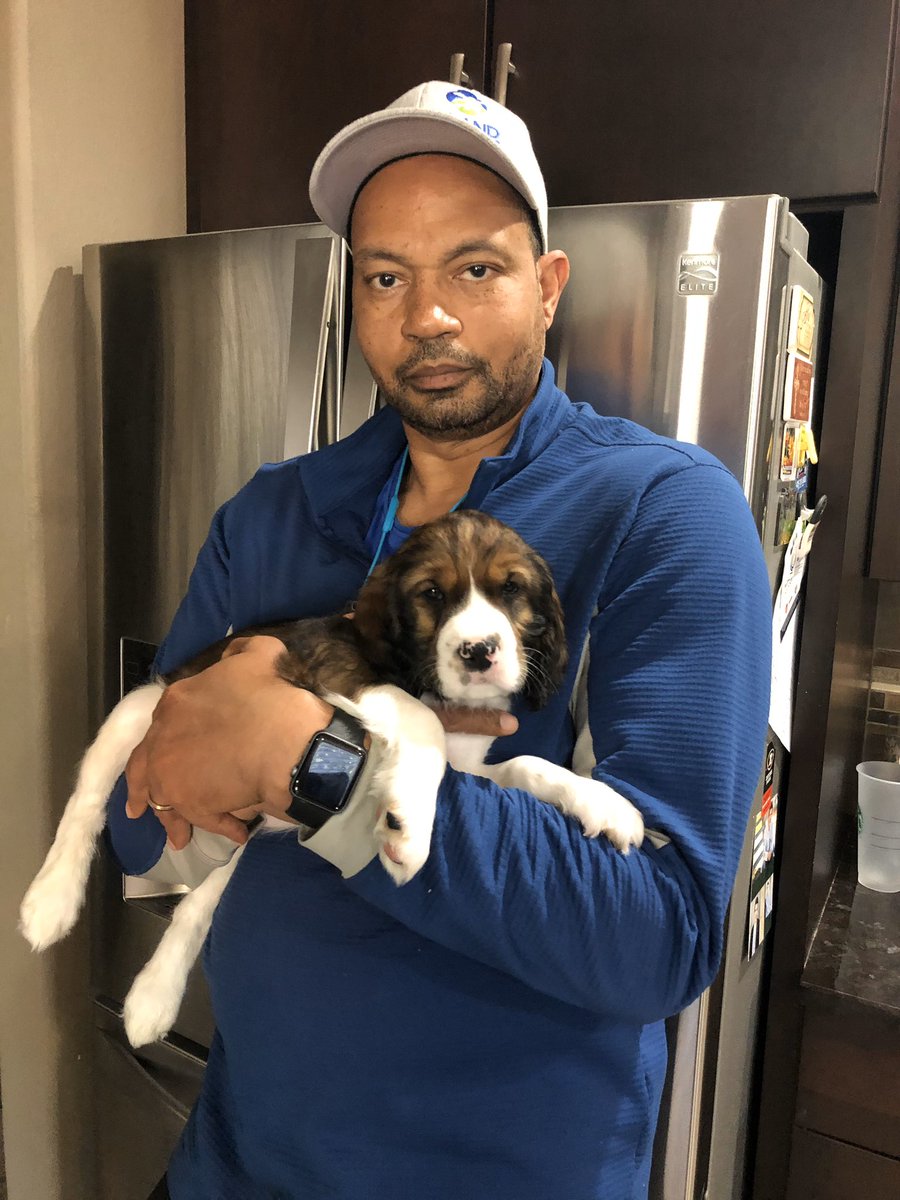 My #EnglishSpringerSpaniel pup Louie is growing up so fast! He’s 10 weeks old now. He’s a handful... literally... but a ton of fun and welcomed addition to our family.