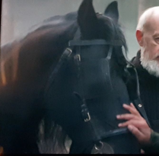 CreditThePet's tweet photo. Earth And Blood (La Terre Et Le Sang) does not credit Moriott's horse.
#earthandblood 
#LaTerreEtLeSang https://t.co/0mZCLlAfaw