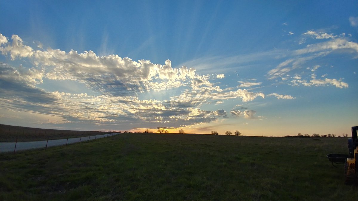AmandaT1986's tweet photo. Goodnight! #kssunset #kansas #nativepasture #summergrass #donkey #sunset https://t.co/FMFwKdNSLW