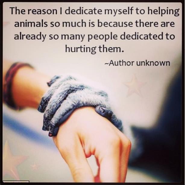 Debradj1958's tweet photo. https://t.co/P44ZyMdAAD