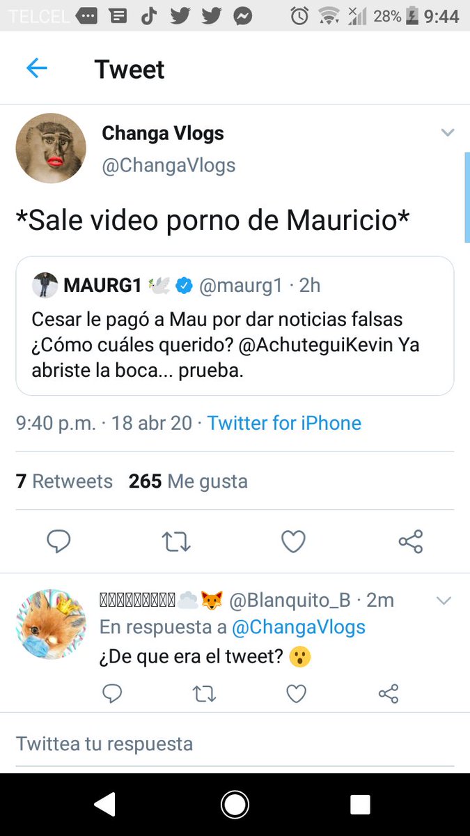 MustiaMayor's tweet photo. @Blanquito_B @ChangaVlogs https://t.co/XuZXOTCIat