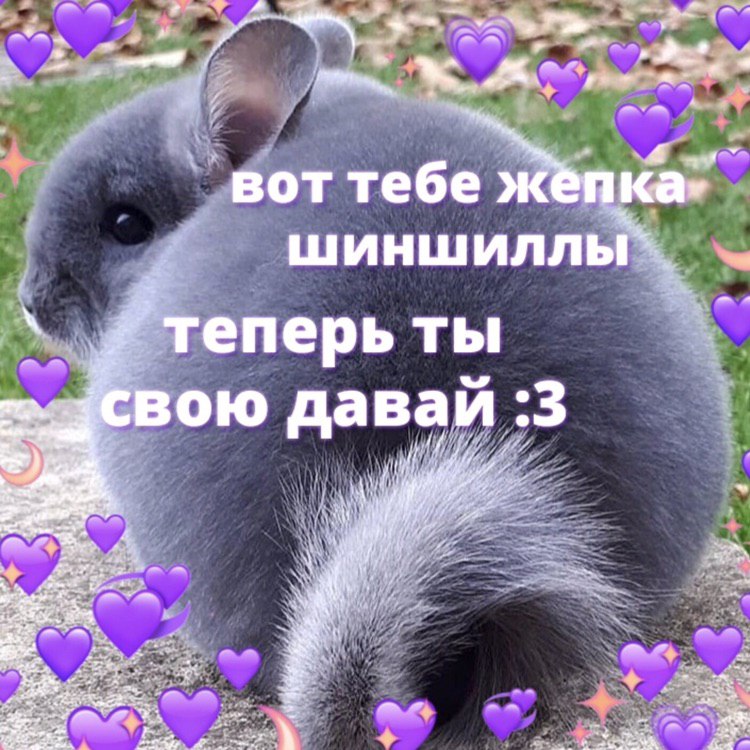 Как тебе вот это. Животные. Как тебе вот это. Вот тебе сборник баянов. Человечек мем.