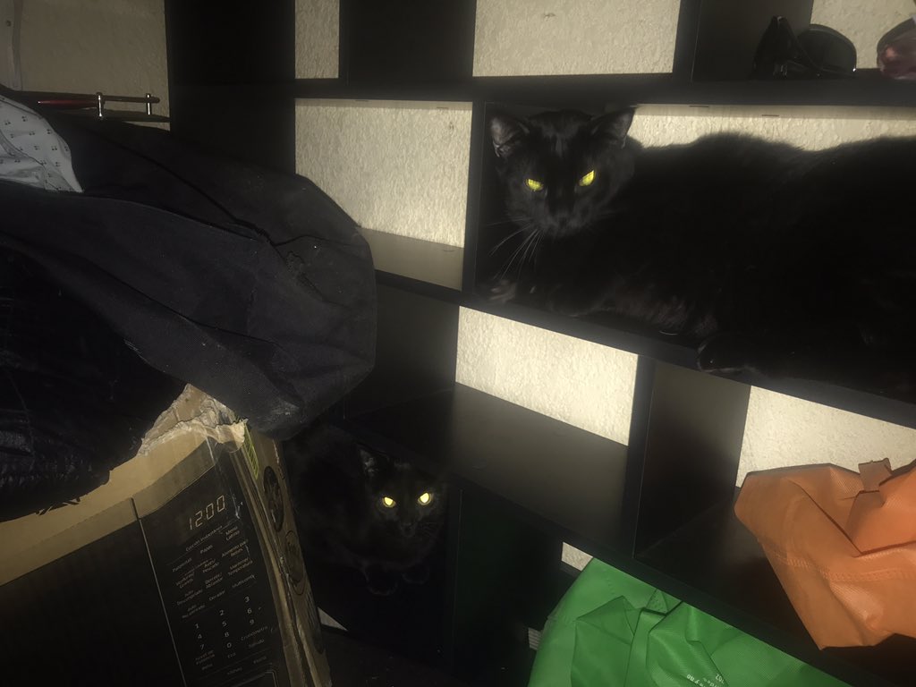 Mientras tanto en el Catfonavid