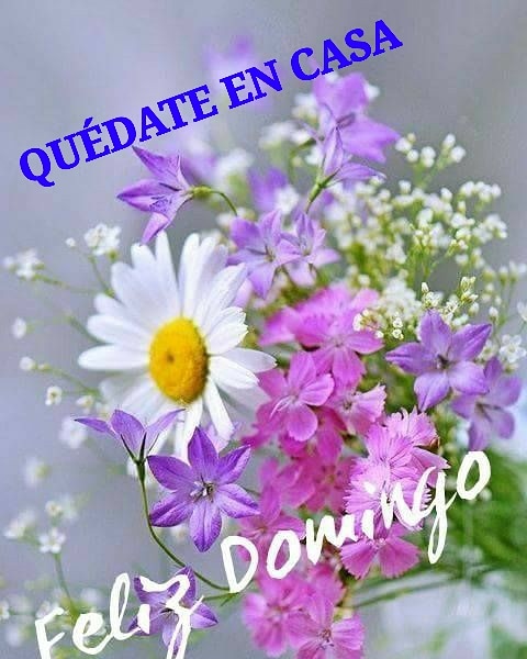 Anselmo Vera S. (@simonverdor3) on Twitter photo 