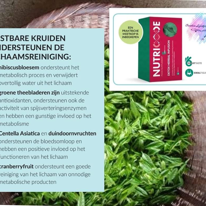 CSluijk's tweet image. DETOX HERBAL INFUSION 🤗

🍃ondersteunt de natuurlijke  lichaamsreinigingsprocessen  van onnodige  metabolische  producten
🍃 creëert een aromatische infusie die een heerlijke smaak combineert met gunstige eigenschappen.