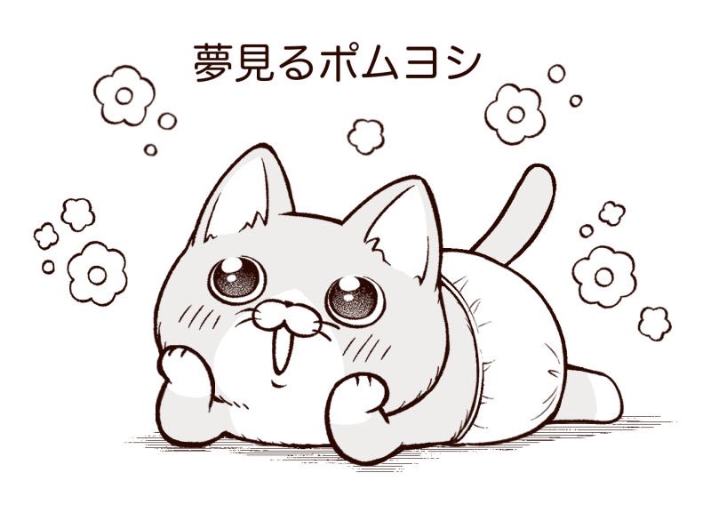 ✨🌈🐱🌸✨ 
