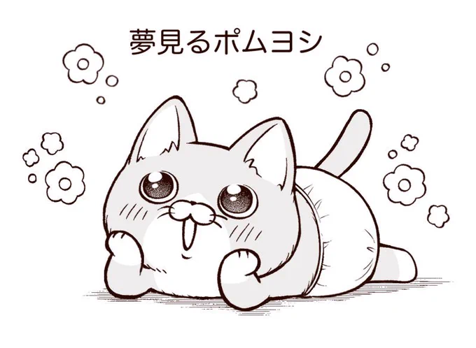✨🌈🐱🌸✨ 