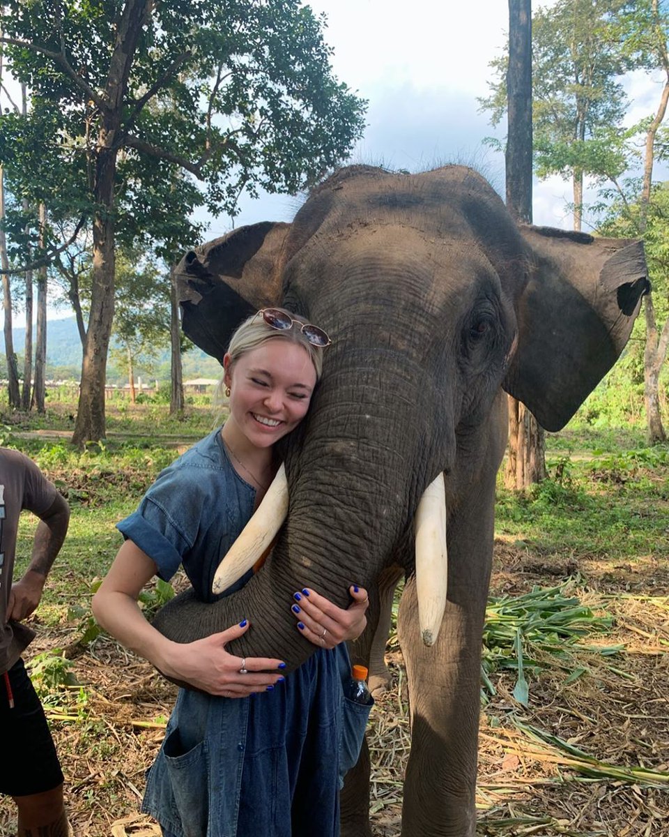 taylor hickson as different colored sunsets; a thread