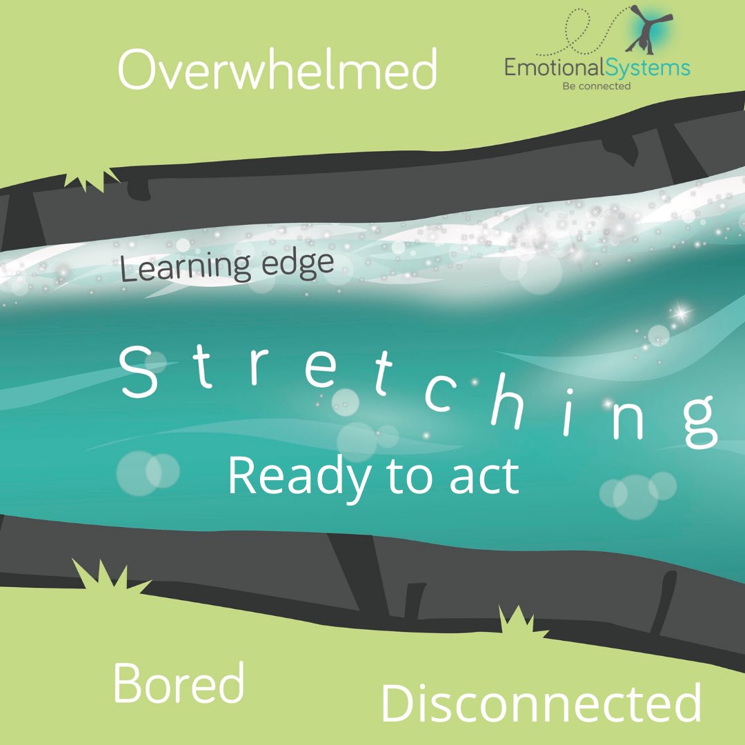EmotionalSystem's tweet photo. We can’t learn consciously when we are overwhelmed. so noticing and responding is vital. #fear #anxiety #polyvagal #disconnection #learningzone #regulatetolearn #activatetolearn https://t.co/dp9xQAba25