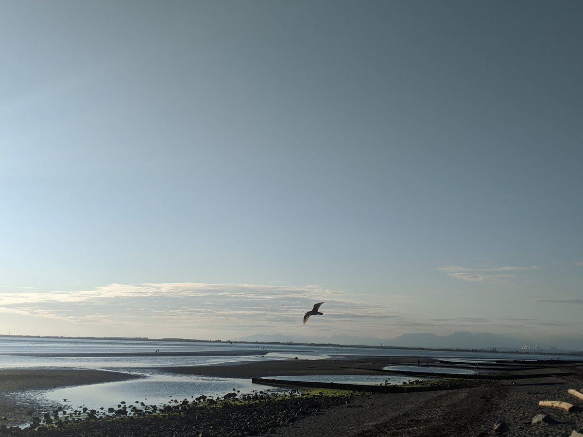 crazeeadventure's tweet photo. Beautiful evening
#cresentbeach #crescentbeachbc
#SurreyBC https://t.co/I4OndEzt3m