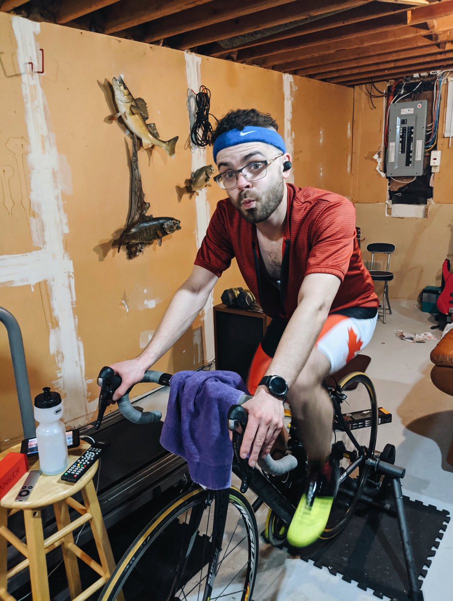 finding dory bike 16