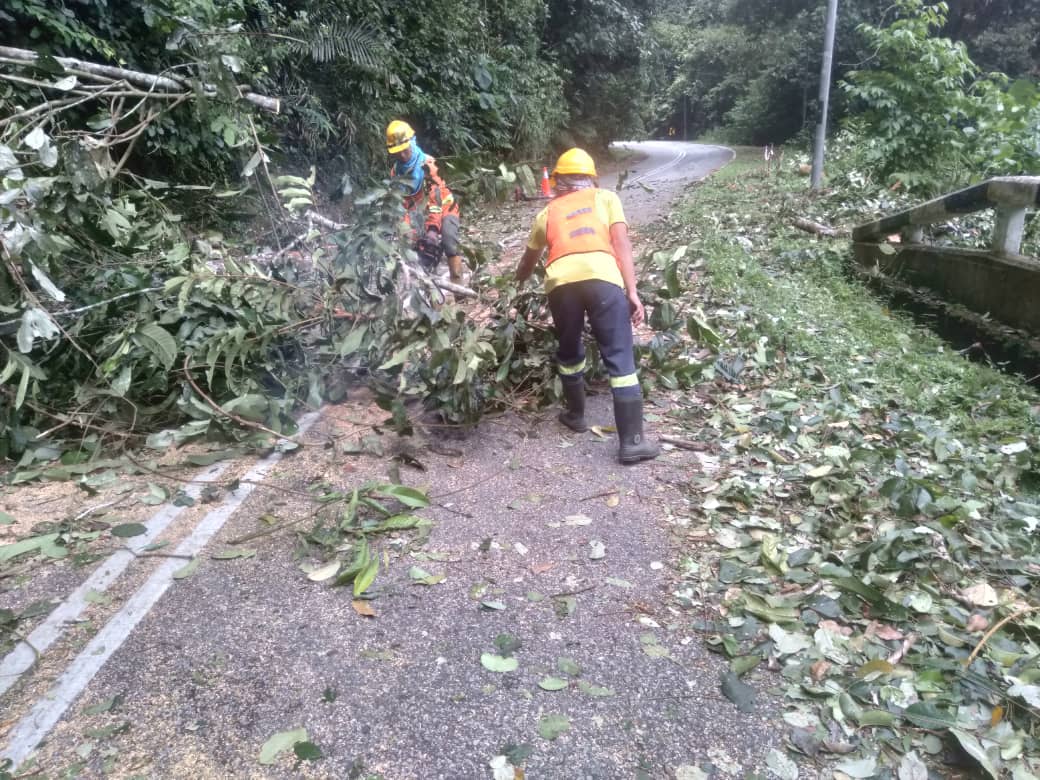 RcBentong's tweet photo. #teamroadcare kerja bersih #pokoktumbang di #ft55 sec48.5 #raub @PetraJayaMP @MOWorks @JKRMalaysia @CSFJ_JKR @JKRPAHANG @JKR_Raub @Roadcare_Msia @Roadcare_Phg @ZTTCSFJ https://t.co/JLBACxmq7k