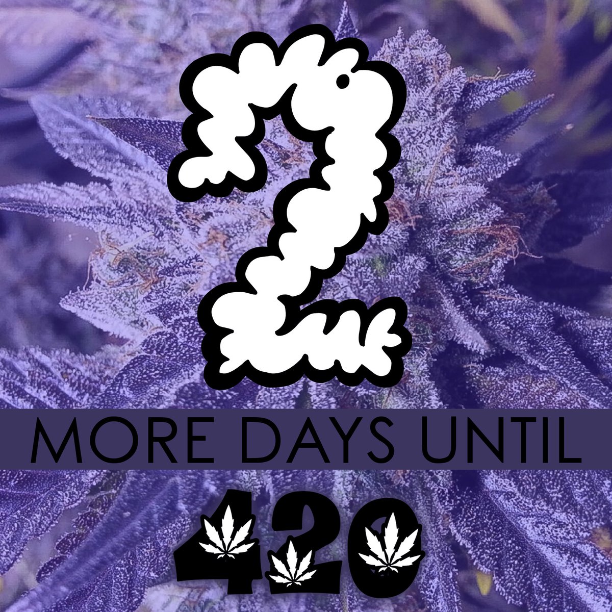 2 more days until 4/20!

Watch #420Vancouver LIVE online on Pot TV and Cannabis Life Network this April 20! 

Go to 420Vancouver.com for more info on the digital at-home version of our official 420 Vancouver celebration, featuring music and clips from our 26-year history