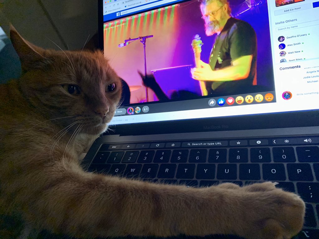 UmmagummaMumma's tweet photo. #flashthecat trancing out to @beastwarsband https://t.co/IVAUJeum6F