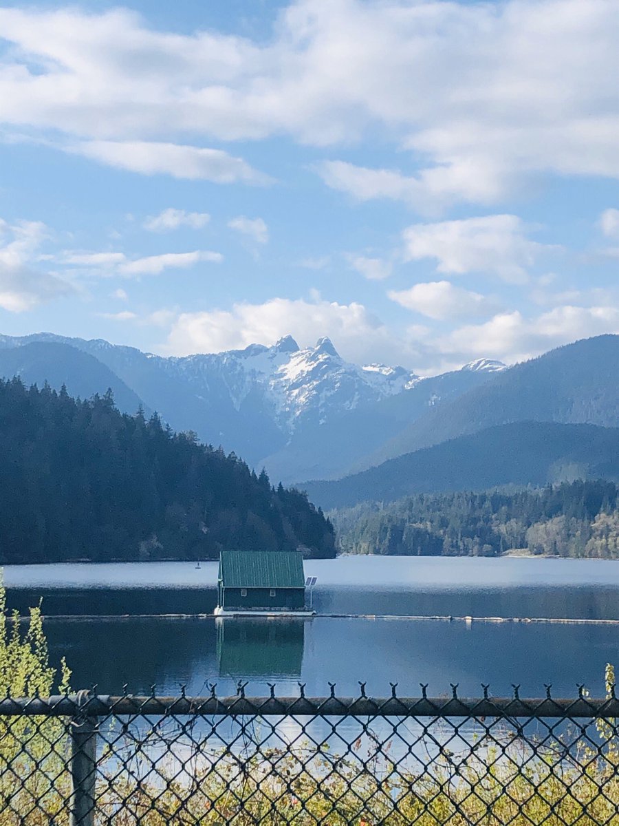 Aлисонька tweet media