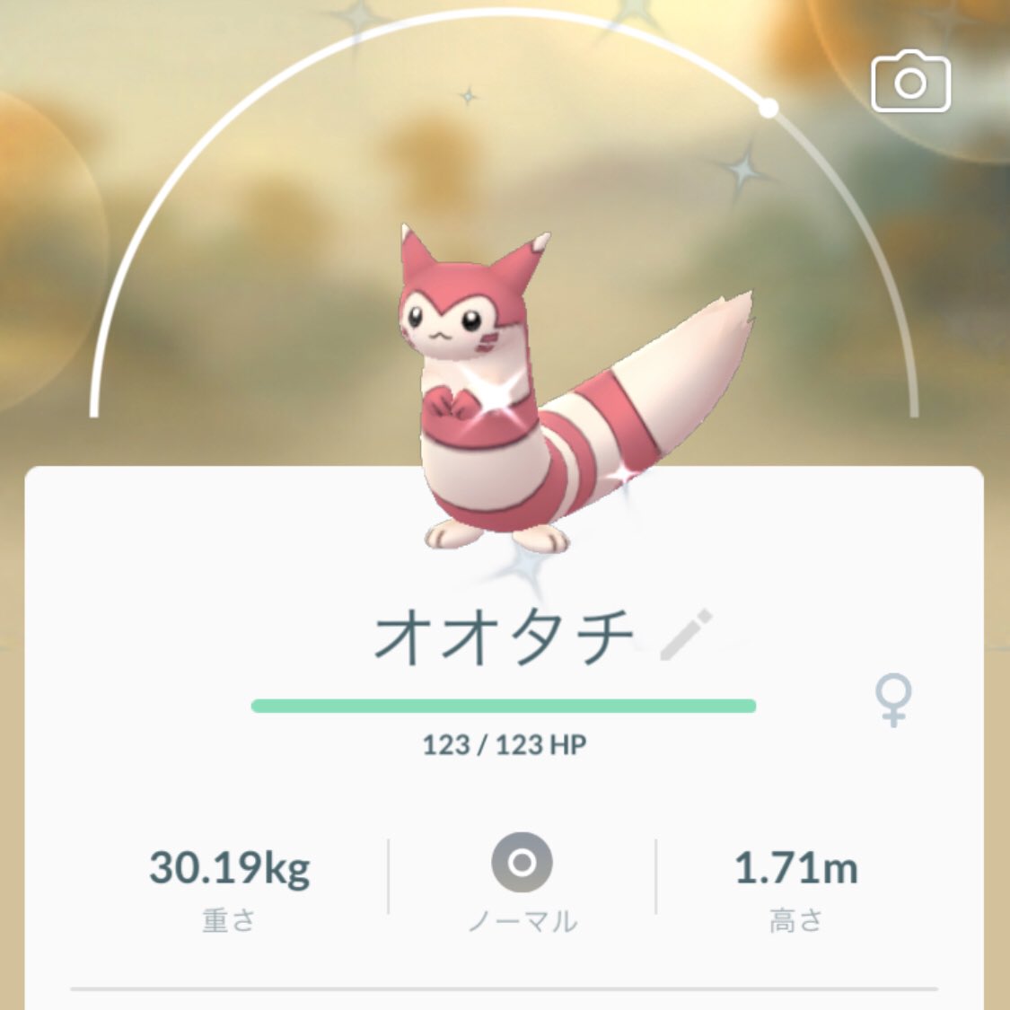 おこうの日 色違いオタチが高確率で出現 6時間で複数ゲットも狙える ポケモンgo攻略まとめ速報