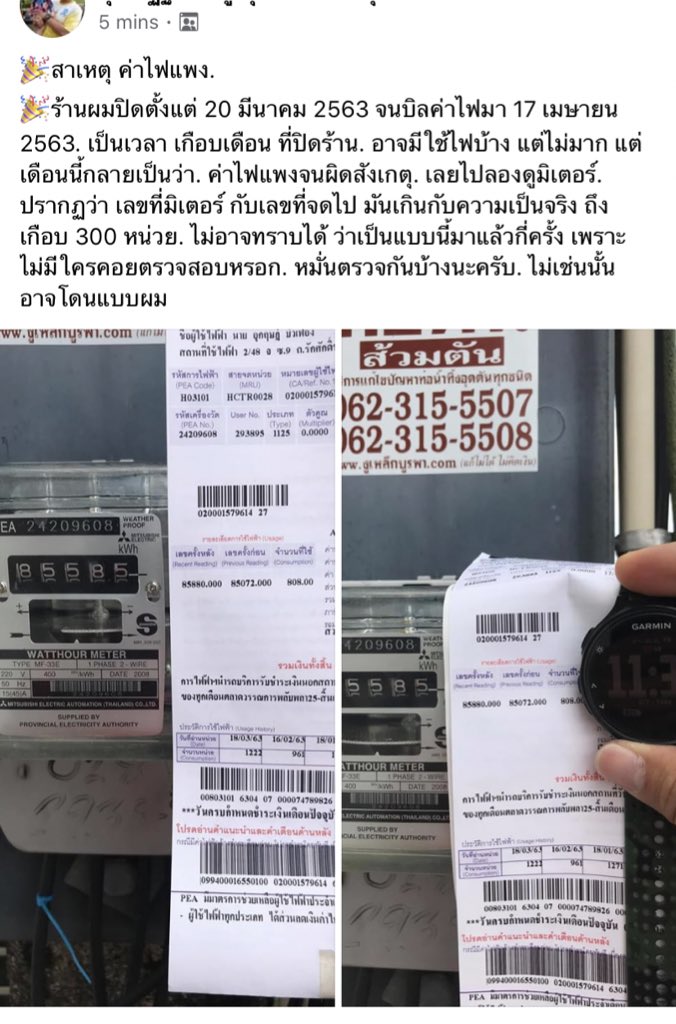 Ayrina tweet media