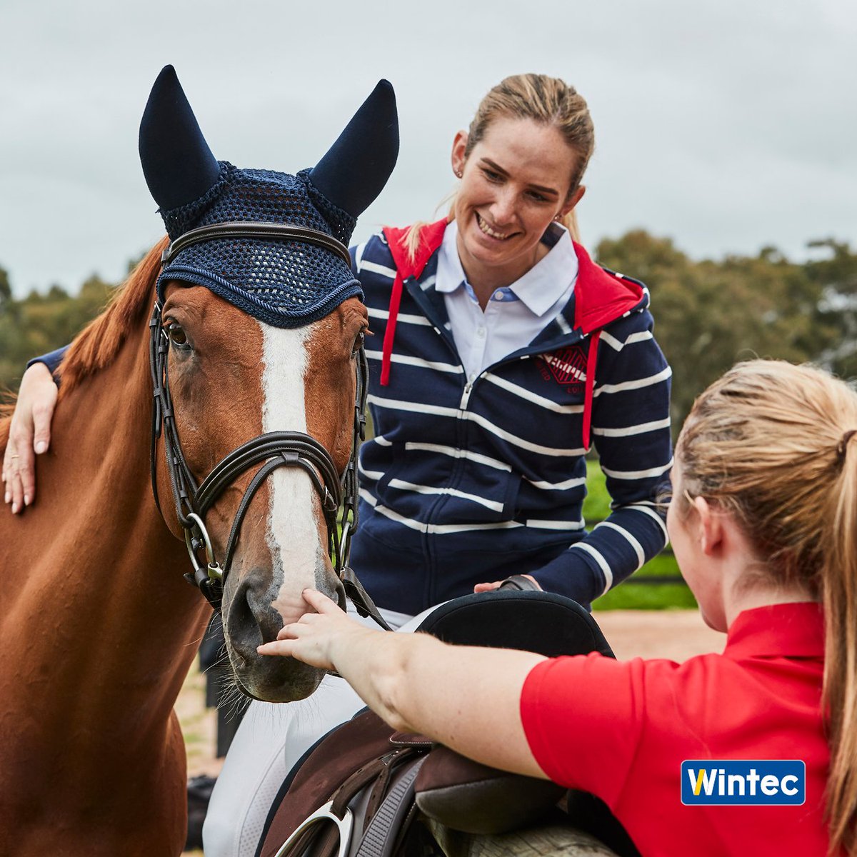 💛💙Wintec saddles are comfortable and adjustable because we love horses as much as you do 💙💛

Find your next Wintec Saddle at ➡️ wintec-saddles.com 

#wintecsaddle #wintecsaddles #noleathernolimits #timetoride
