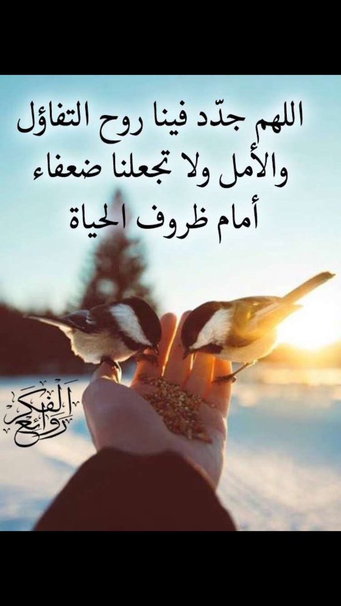‏﮼صيته✨ (@setahm2) on Twitter photo 