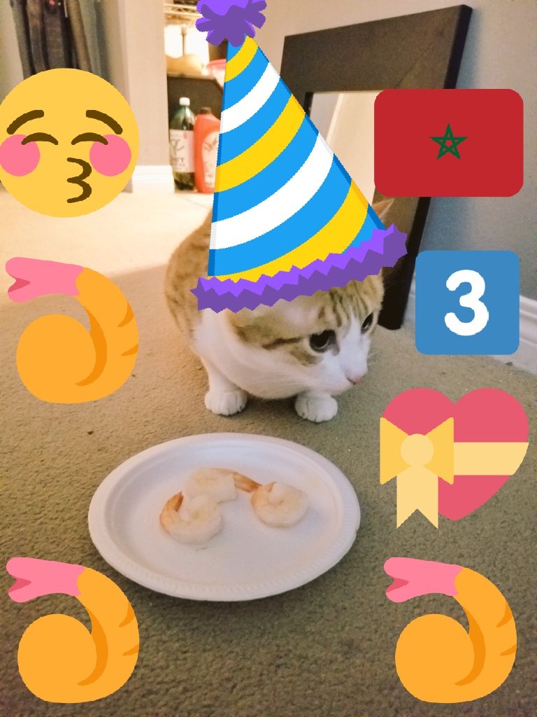 Métis🐾 💙🙏 tweet media