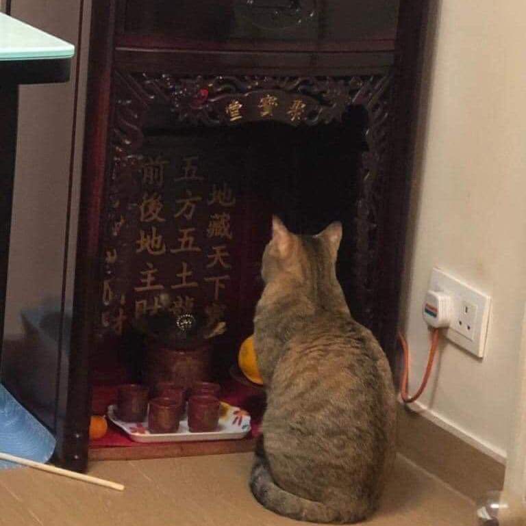 กักตัววันที่ 41 : น้องคุยกับเจ้าที่ได้