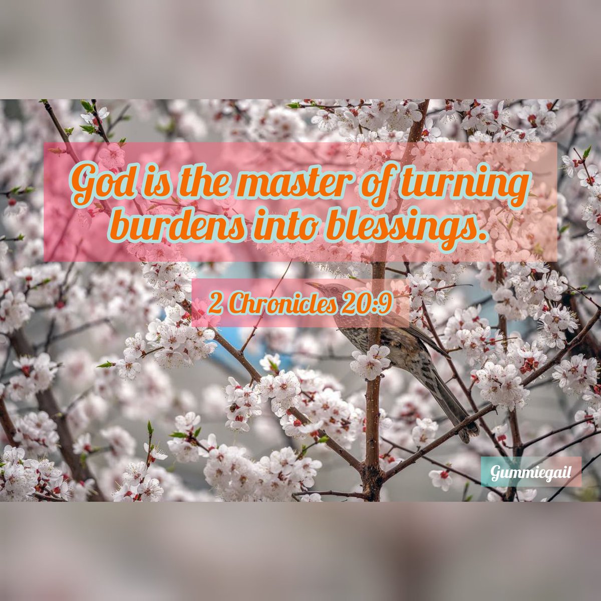 LifeVandQ's tweet photo. ReminderNo.11:
God is the master of turning burdens into blessings.

2 Chronicles 20:9

#LifeVersesandQuotes 
#TrustJesus 
#lifeverses 
#lifequotes https://t.co/rMX8DR11pi